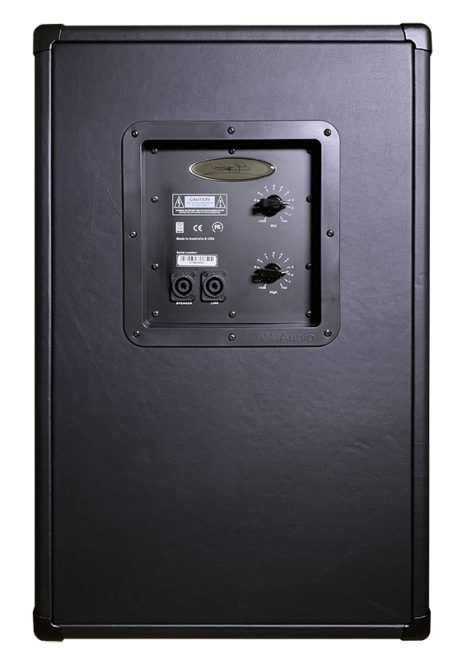 WJ 2×10 Passive 700 Watt Bass Cabinet - Image 4