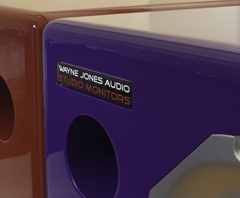 10″ 2-Way Powered Studio Monitor (pair) 650 Watt each - Image 10